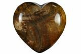 Polished, Triassic Petrified Wood Heart - Madagascar #115524-1